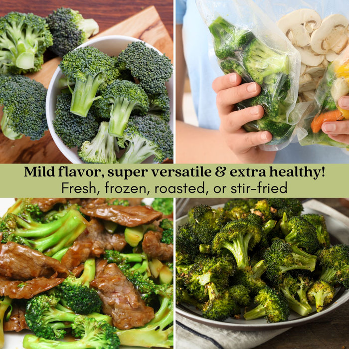 Broccoli Marathon | Two Live Plants | Non-GMO | High Yield, Cold-Tolerant, Disease Resistant
