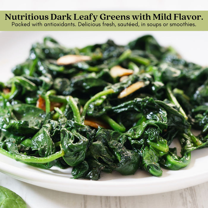 Green Swiss Chard | Two Live Plants | Non-GMO | Heirloom | Frost Tolerant