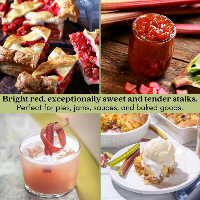 Victoria Rhubarb | Two Live Plants | Non-GMO | Perennial | Edible Heirloom