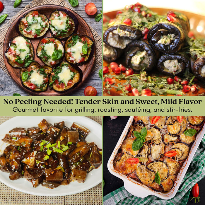 Eggplant Patio Baby | Two Live Plants | Non-GMO | Mini Fruit, High Yield, Compact