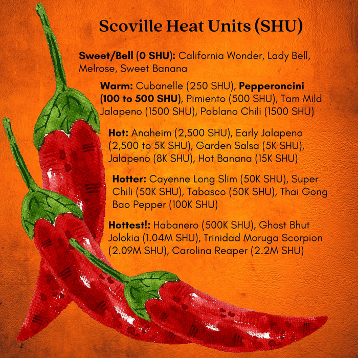 Pepperoncini Pepper Plant | Two Live Plants | Non-GMO | Mild Heat | Early Harvest