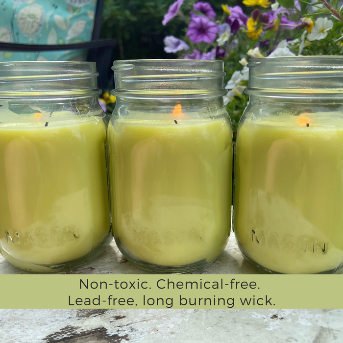 Mosquito Repellent Candle Natural Lemongrass | 12 Oz., Set of 3 | Soy-Base, Infused with Essential Oils | Made in USA