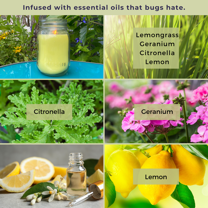 Mosquito Repellent Candle Natural Lemongrass | 12 Oz., Set of 3 | Soy-Base, Infused with Essential Oils | Made in USA