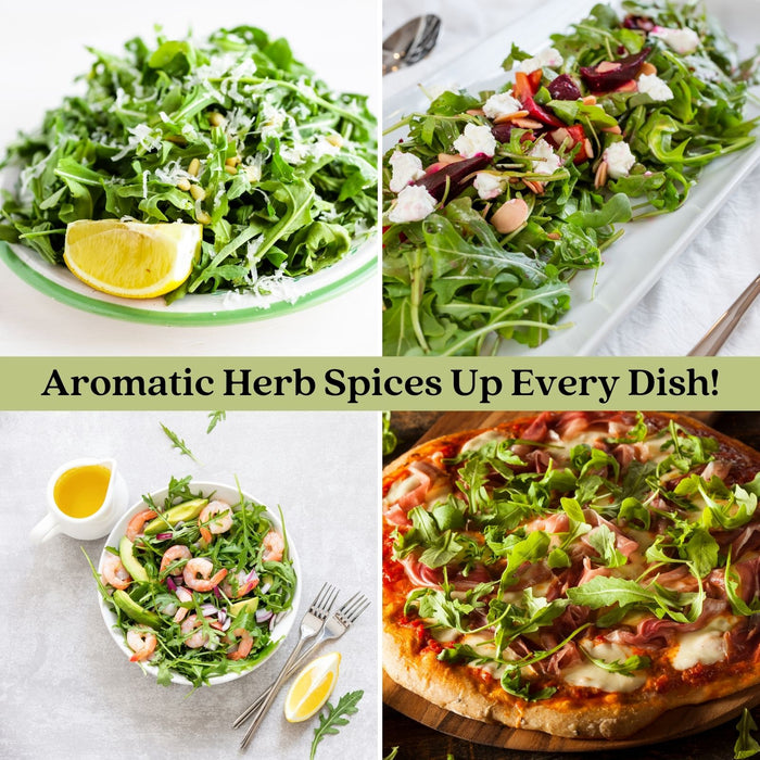 Arugula | Two Live Garden Plants | Heirloom | Non-GMO, Peppery Herb, Easy to Grow