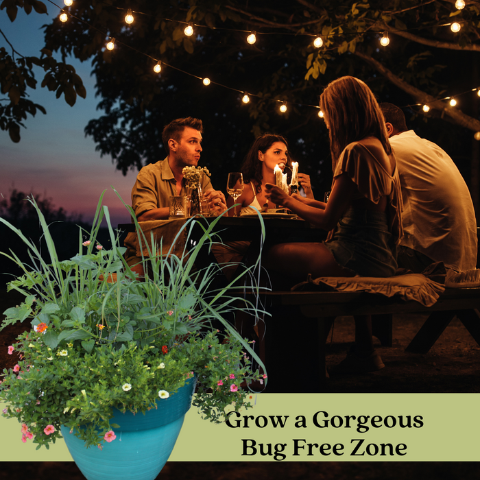 The Mosquito Trio | 9 Live Mosquito Repelling Plants | Geranium, Lemongrass, Lantana, Non-GMO