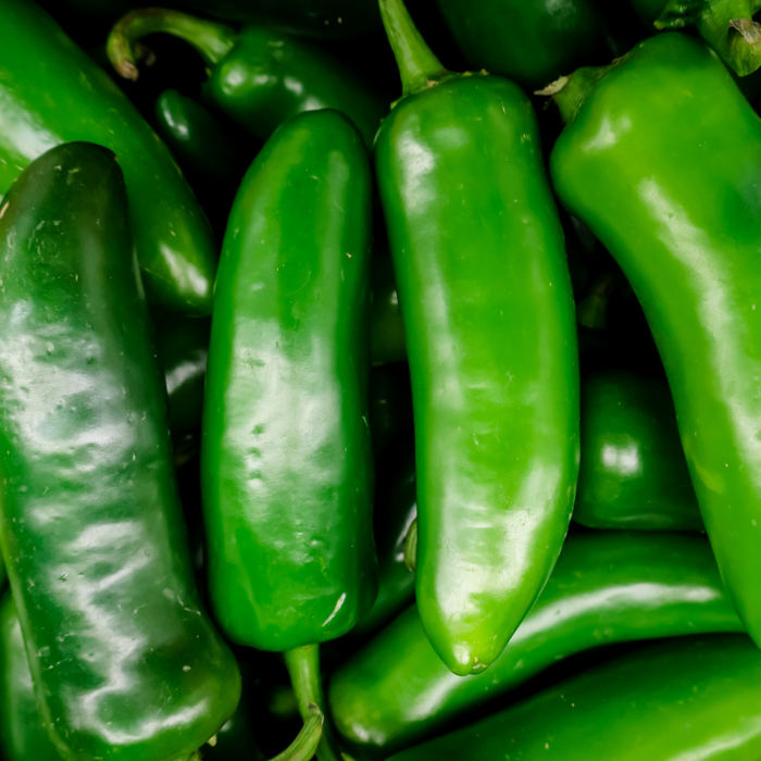 Jalapeno Megatron Peppers | Two Live Garden Plants | Jumbo Fruit, Non-GMO, Mild Heat, Great Producer