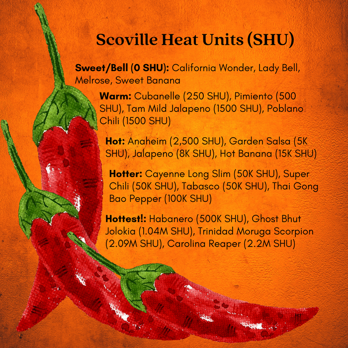 Spitfire Anaheim Peppers | Two Live Garden Plants | Non-GMO, Very Mild Heat