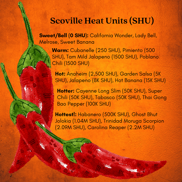 Trinidad Moruga Scorpion Hot Pepper | Two Live Garden Plants | Non-GMO, Super Hot, 2M SHU