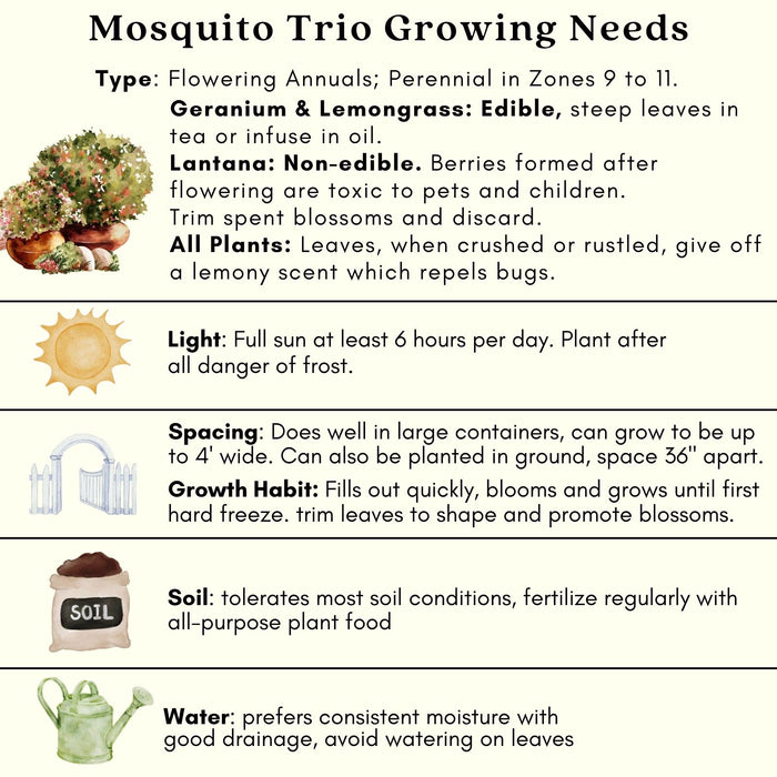 The Mosquito Trio | 9 Live Mosquito Repelling Plants | Geranium, Lemongrass, Lantana, Non-GMO