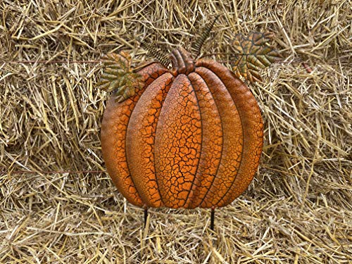 Fall Outdoor Pumpkin Decorations | Set of 3 | Metal, Painted Stakes, Rustic Farmhouse Look