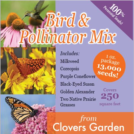 Bird & Pollinator Native Wildflower Seed Mix & Insect House | 13,000 Seeds, Non-GMO, Non-GE, All Perennial, No Filler