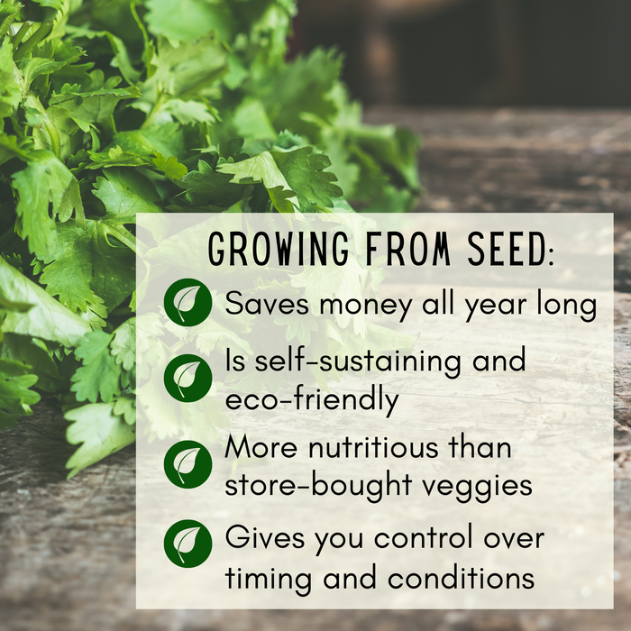 Veggie Garden Favorites Grow Kit | 725 Seeds, 29 Varieties + 60 Organic EcoPaper Seed Pots | Non-GMO, Resealable Bags, Peat-Alternative