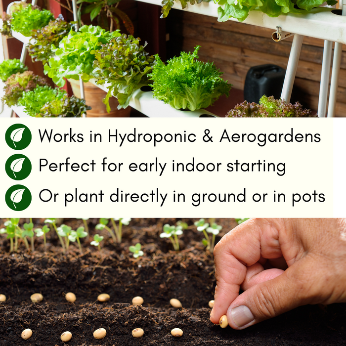 Tomatoes & Peppers Grow Kit | 500 Seeds, 19 Varieties + 60 Organic EcoPaper Seed Pots | Non-GMO, Resealable Bags, Peat-Alternative