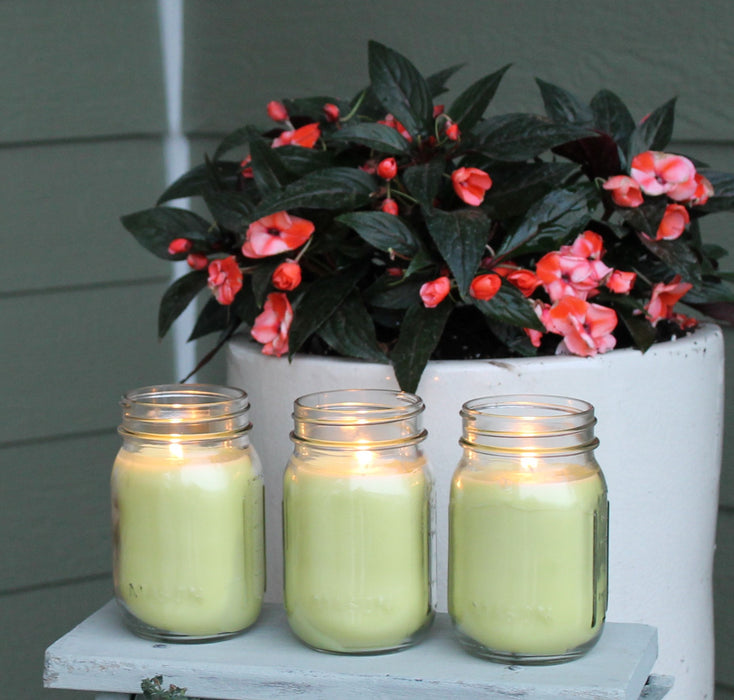 Mosquito Repellent Candle Natural Lemongrass | 12 Oz., Set of 3 | Soy-Base, Infused with Essential Oils | Made in USA