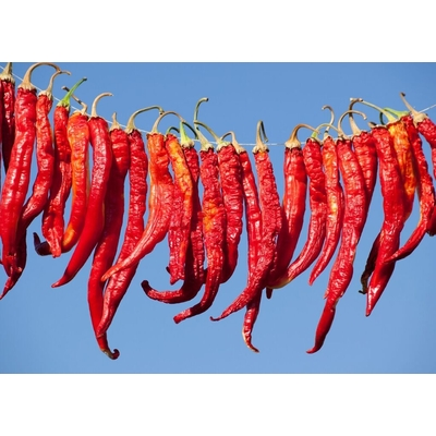 Cayenne Long Slim Pepper Plant | Two Live Garden Plants | Non-GMO, Medium Heat, Dries Well