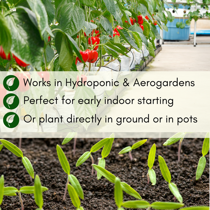 Picklers, Canners, & Salsa Seeds Kit | 20 Varieties, 500+ Seeds, Non-GMO, Waterproof Bag