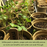 Biodegradable Seed Starting Pots | 100% Organic Recycled Paper | 60 3.5” Pots, 24 Wooden Tags