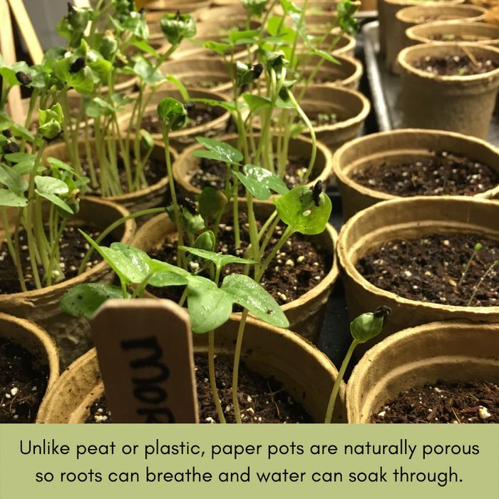 Biodegradable Seed Starting Pots | 100% Organic Recycled Paper | 60 3.5” Pots, 24 Wooden Tags