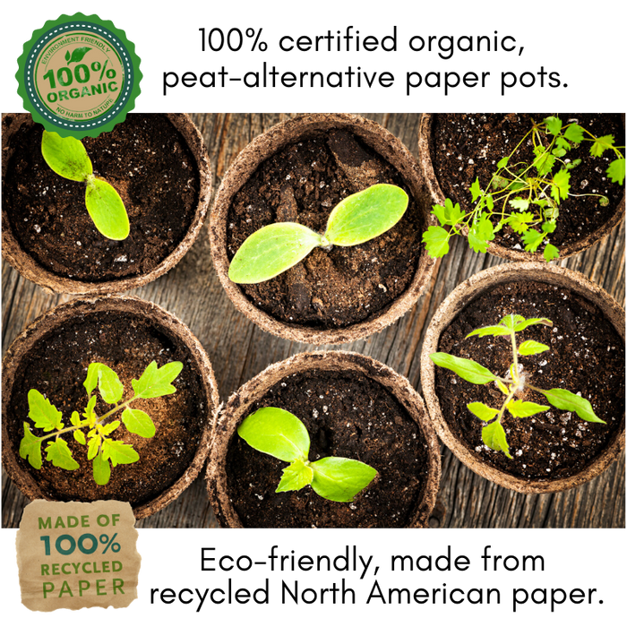 Tomatoes & Peppers Grow Kit | 500 Seeds, 19 Varieties + 60 Organic EcoPaper Seed Pots | Non-GMO, Resealable Bags, Peat-Alternative