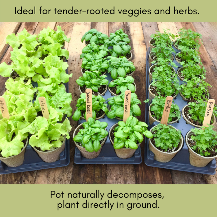 Biodegradable Seed Starting Pots | 100% Organic Recycled Paper | 60 3.5” Pots, 24 Wooden Tags