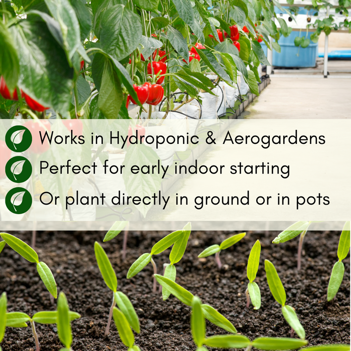 Tomatoes & Peppers Seeds Kit | 19 Varieties, 500+ Seeds, Non-GMO, Resealable Waterproof Bag