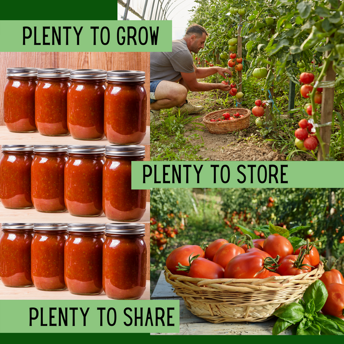Tomatoes & Peppers Seeds Kit | 19 Varieties, 500+ Seeds, Non-GMO, Resealable Waterproof Bag