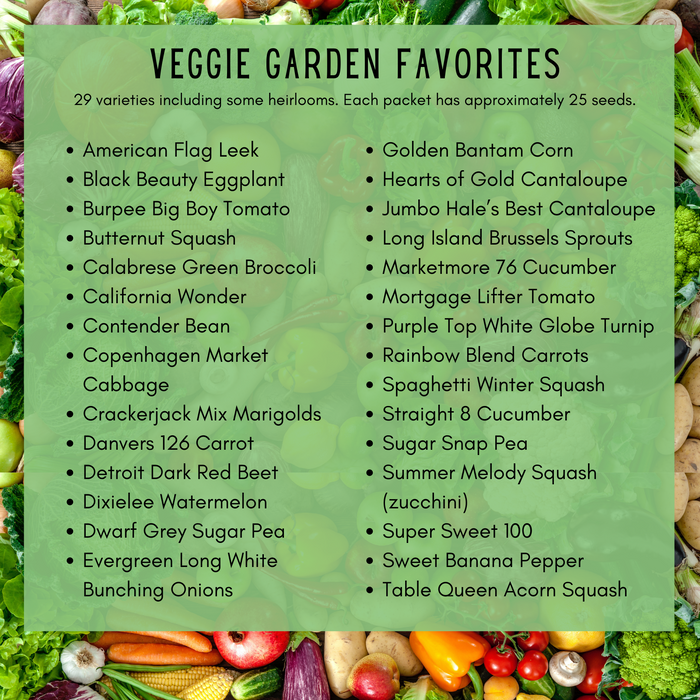 Veggie Garden Favorites Grow Kit | 725 Seeds, 29 Varieties + 60 Organic EcoPaper Seed Pots | Non-GMO, Resealable Bags, Peat-Alternative