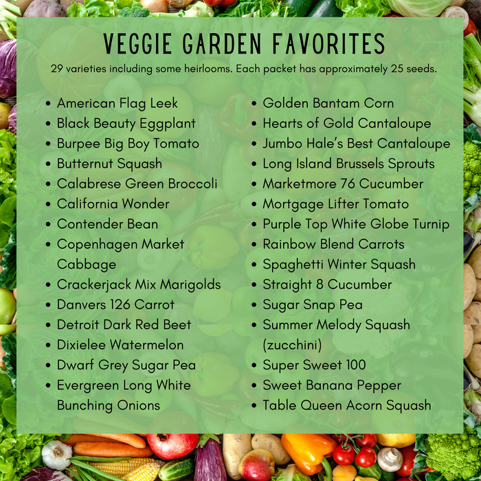 Vegetable Garden Favorites Seed Kit | 29 Varieties, 725+ Seeds, Non-GMO, Resealable Waterproof Bag