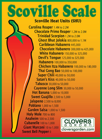 How to Pick the Perfect Pepper