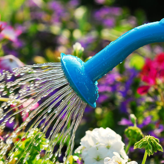 Smart Watering Techniques for Every Garden