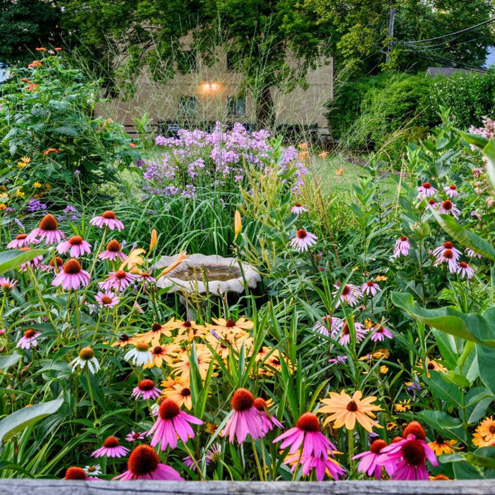 How to Plant a Perennial Flower Garden in Any Zone
