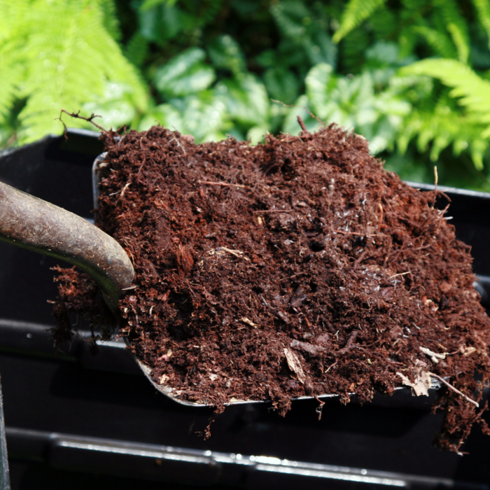 Composting 101: How to Make Compost and Use It In The Garden