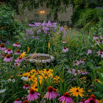 How to Plant Perennials in the Fall