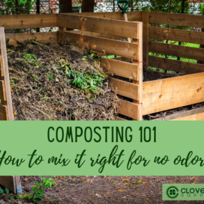 Compost Troubleshooting: Why Does My Compost Pile Smell?