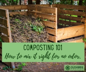 Compost Troubleshooting: Why Does My Compost Pile Smell?