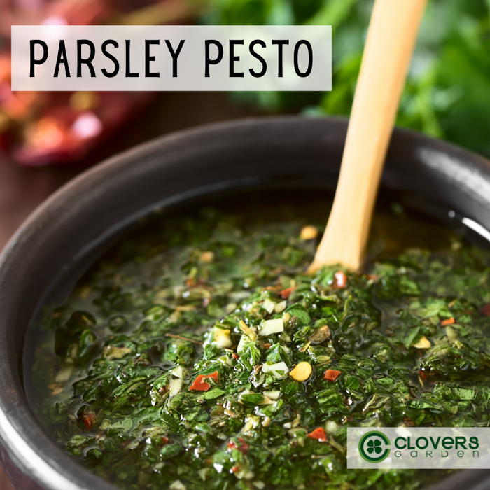 Parsley Pesto Recipe