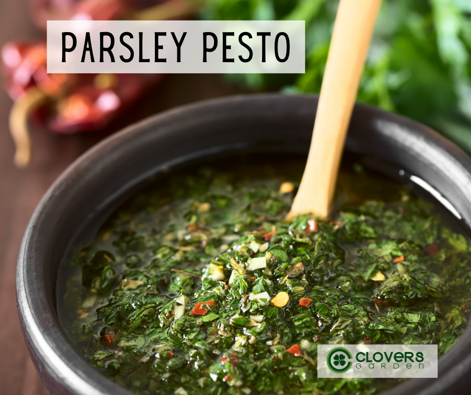 Parsley Pesto Recipe