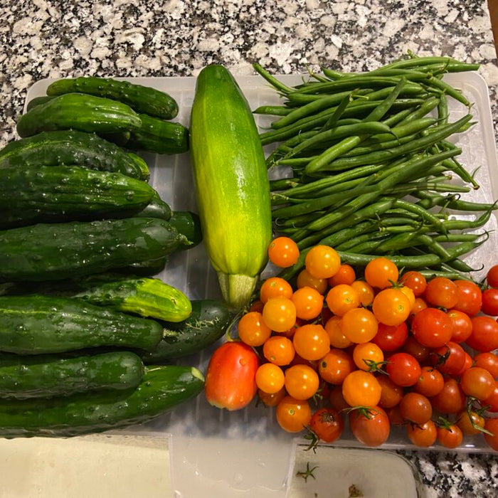 How Much Food Can One Small Garden Grow?