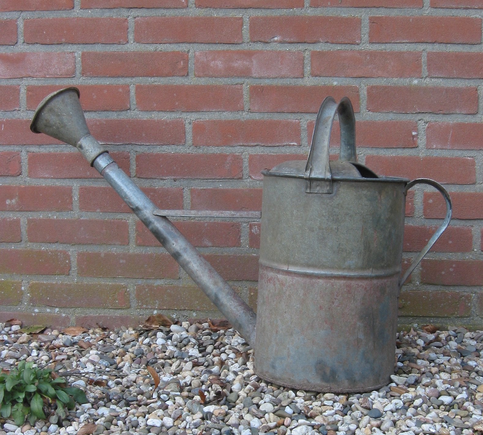 Watering the garden