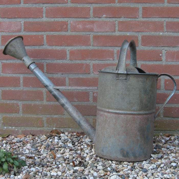 Watering the garden