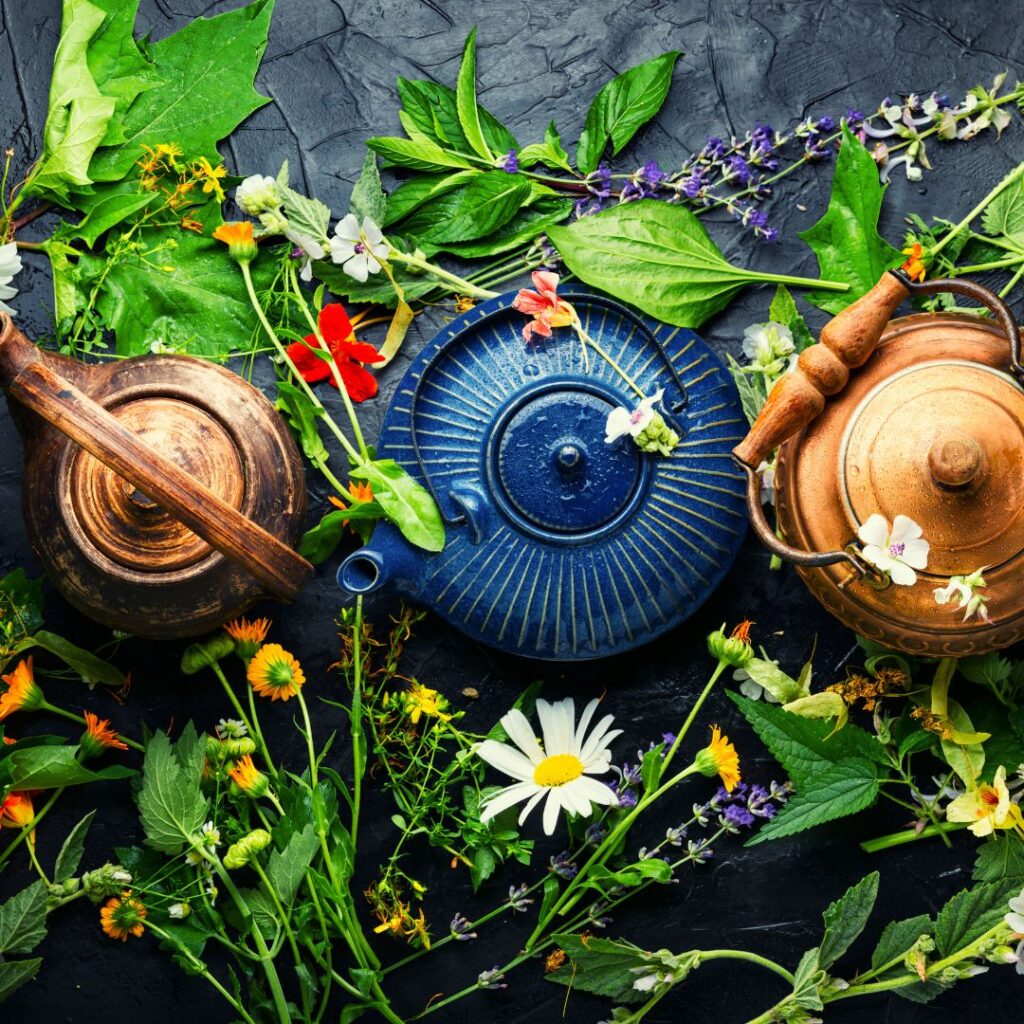 How to Grow Your Own Herbs for Tea
