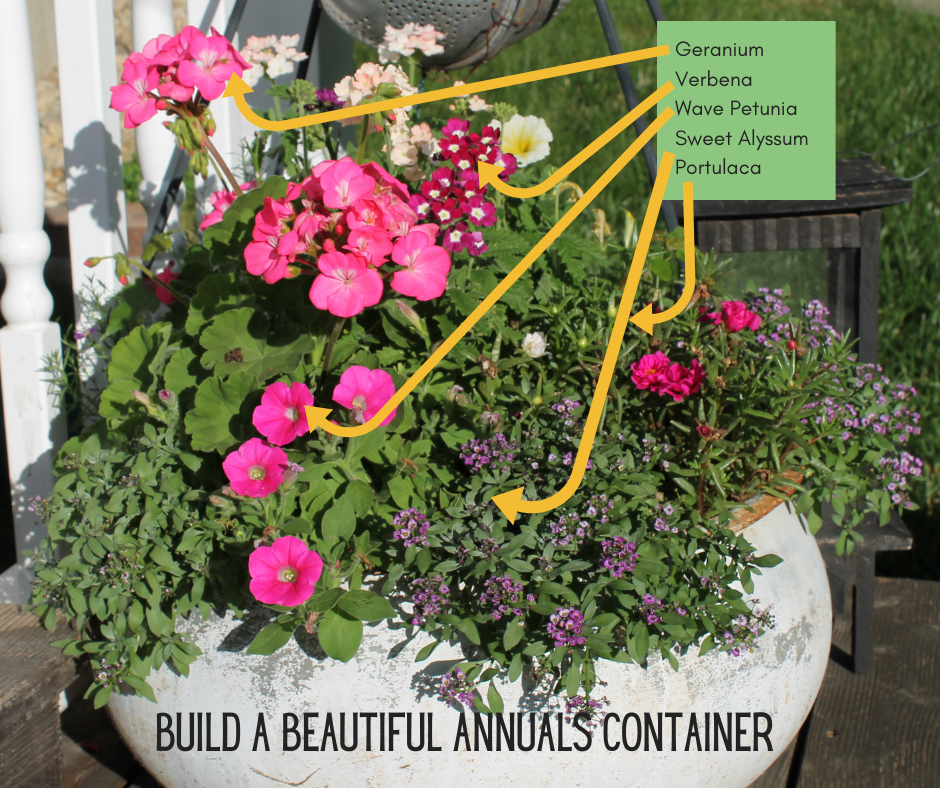 How to Build a Container Garden