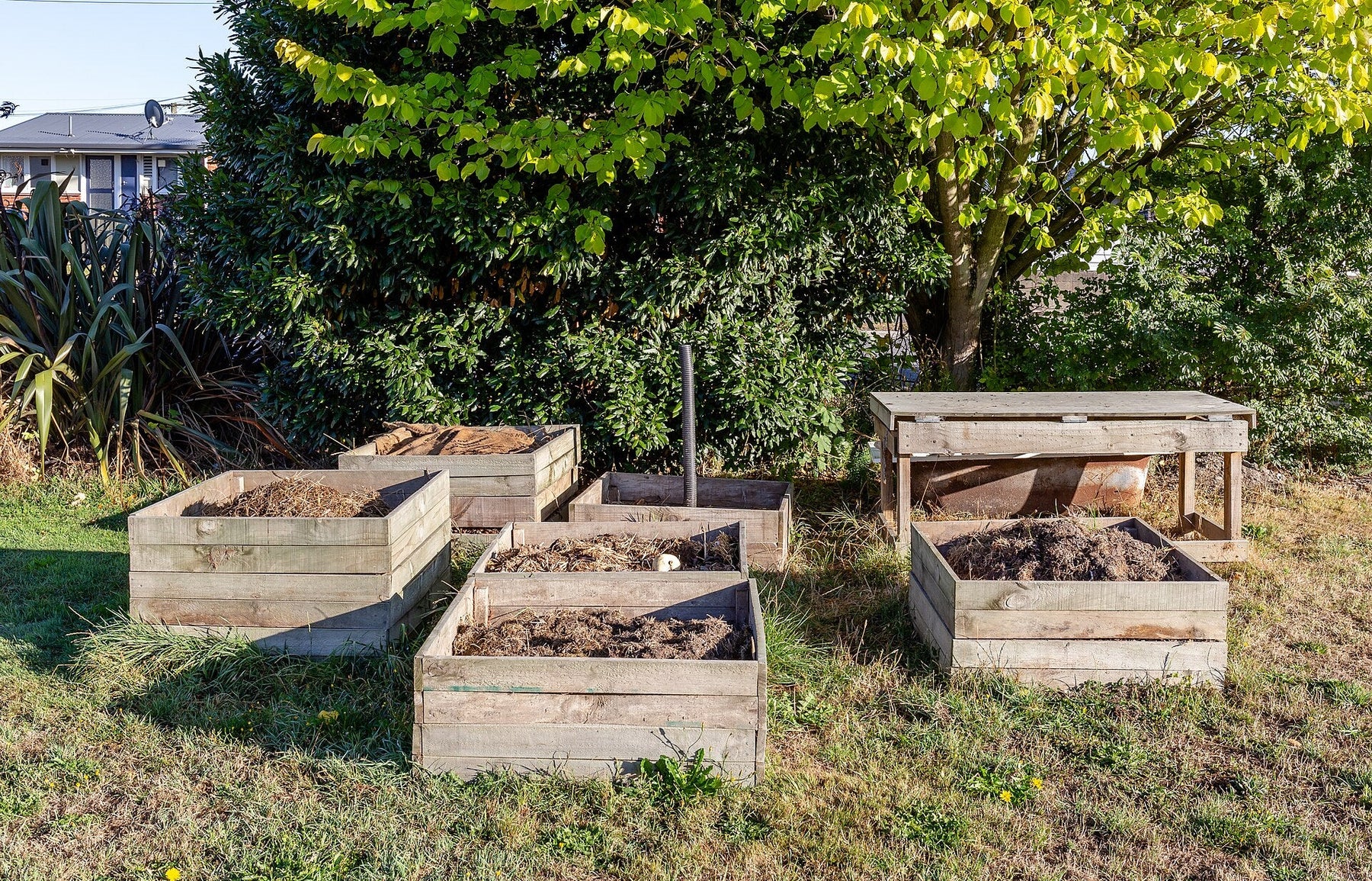 How to use Compost