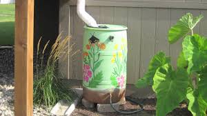 How to Make your Own Rain Barrel
