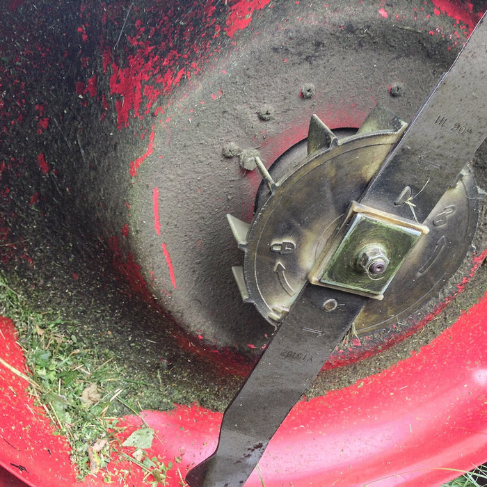 Using your Grass Clippings as Mulch