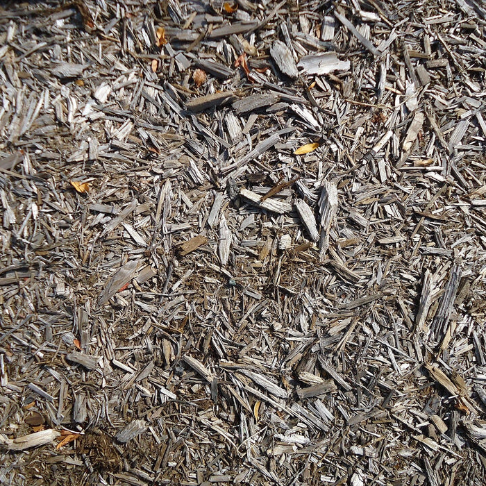 Why You Should Mulch around Trees