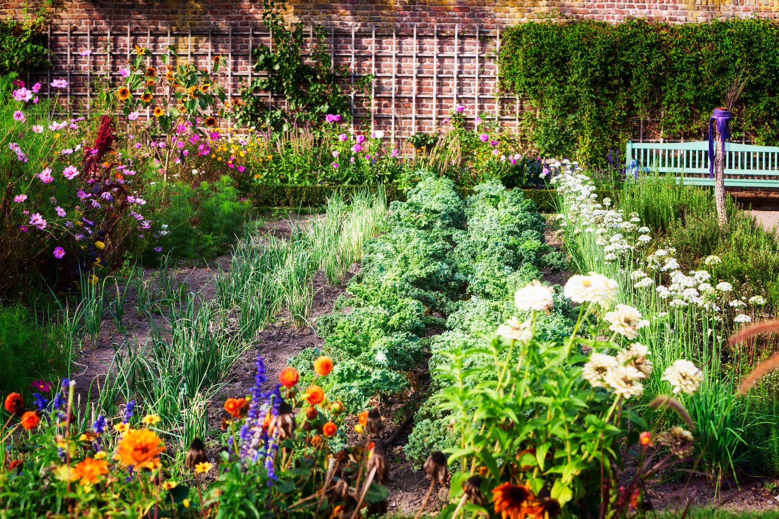 A designed kitchen garden