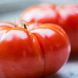 How to Harvest Tomatoes
