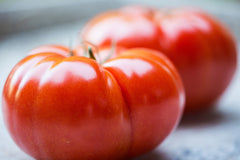 How to Harvest Tomatoes
