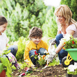 Five Tips for Planning a Bountiful Veggie Garden.